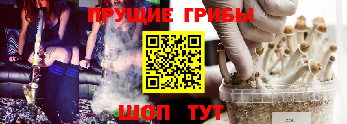Галлюциногенные грибы мицелий  Вход с VPN  Элиста 